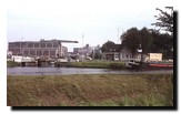 kuusegat